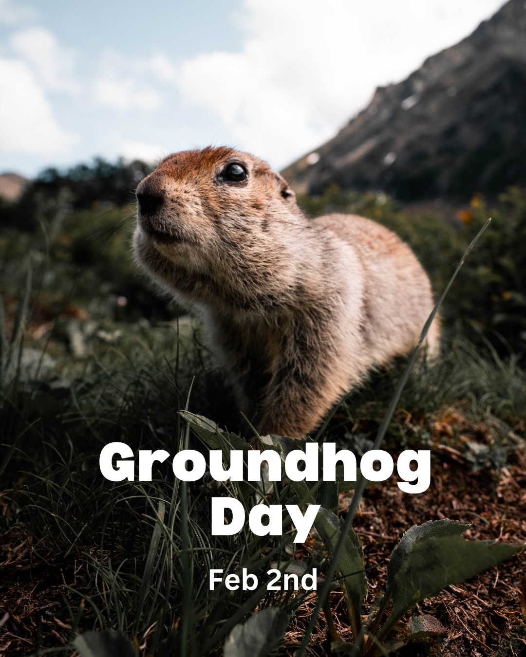 FEB 2ND - Groundhog Day