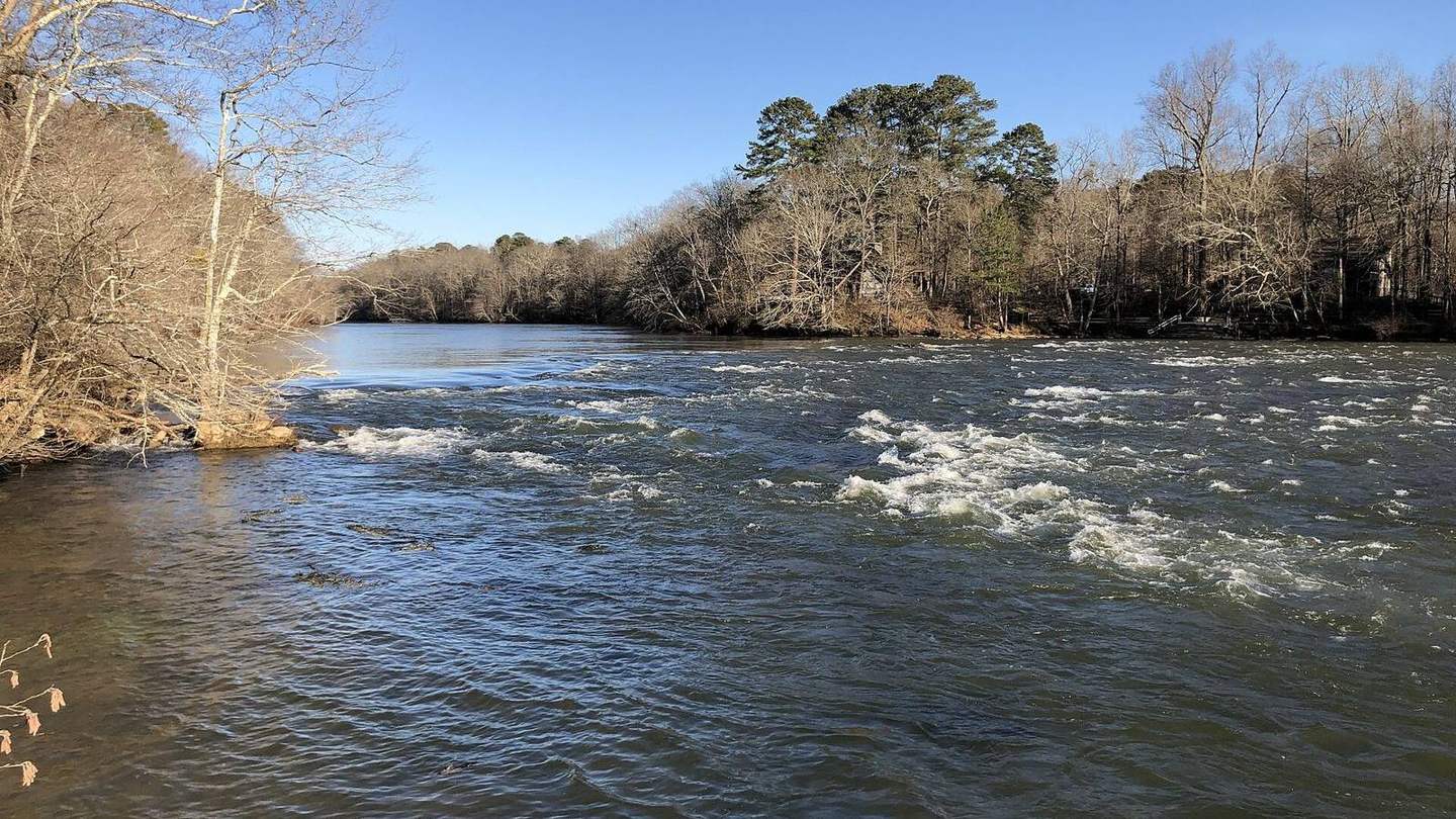 The Chattahoochee River flowing past wooded banks in Johns Creek on a clear winter day