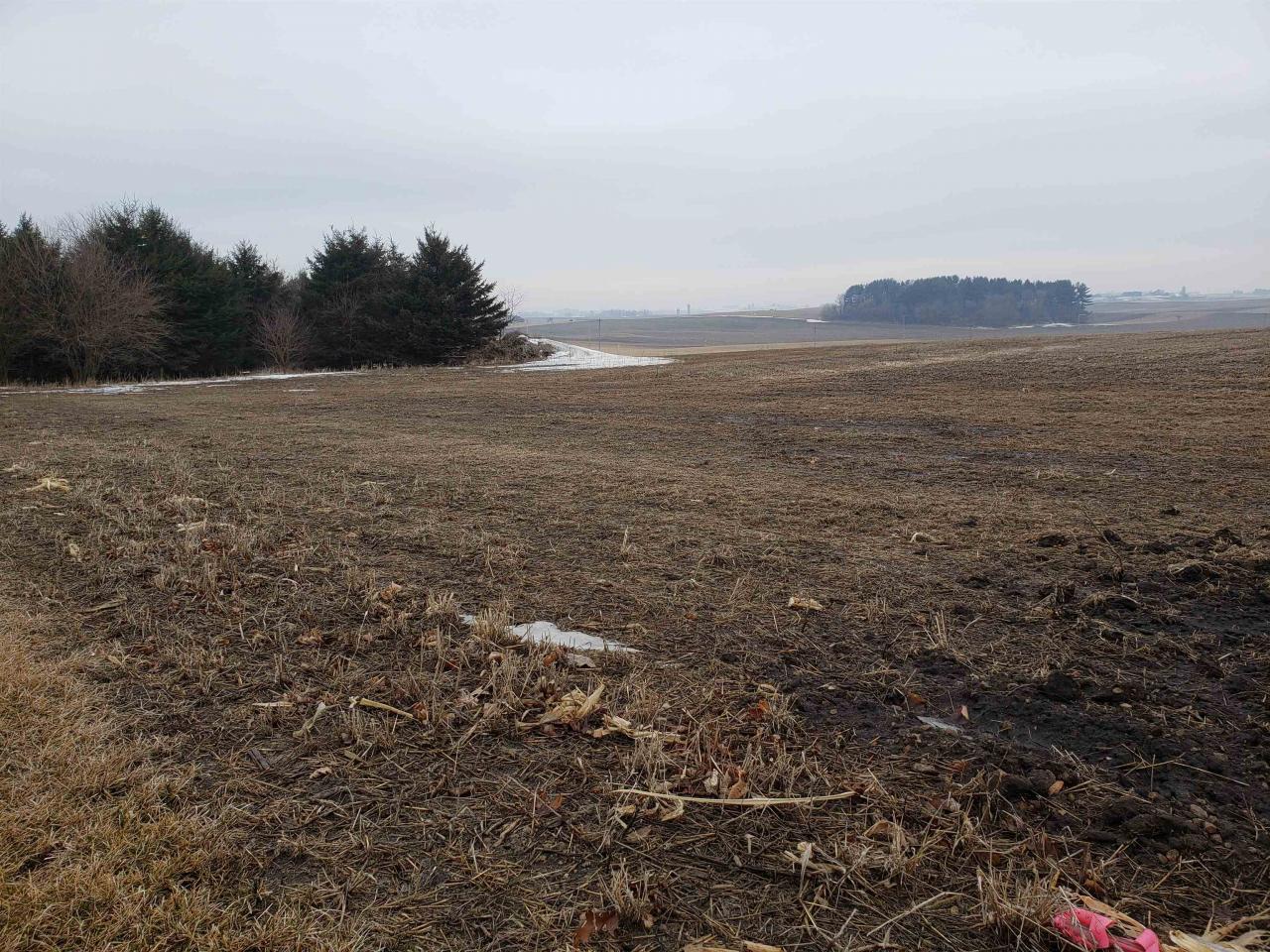 Looking West