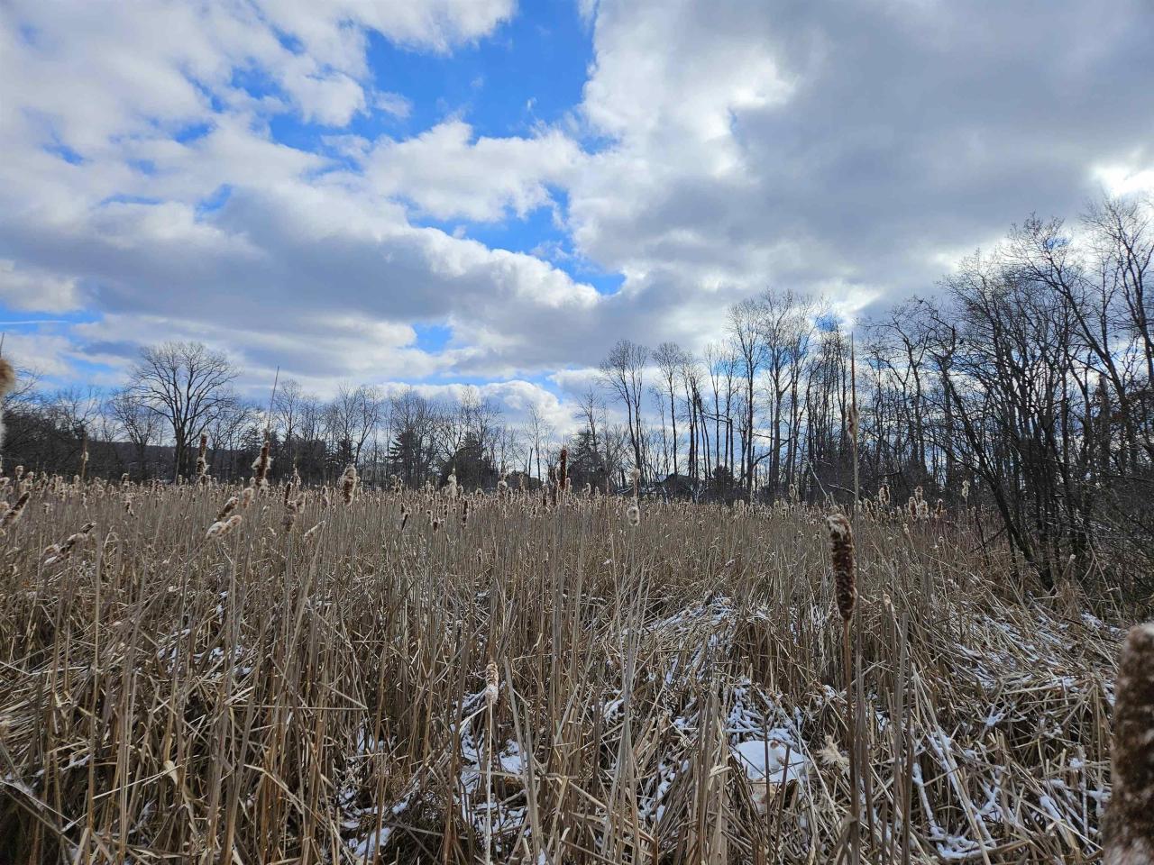 Backs to Nature Conservancy