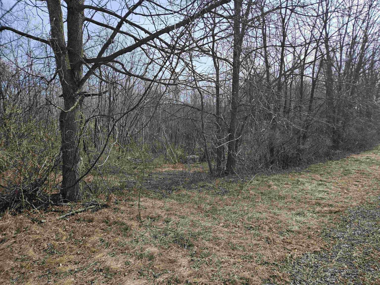 Sloped Lot Perfect for Exposed Lower Level