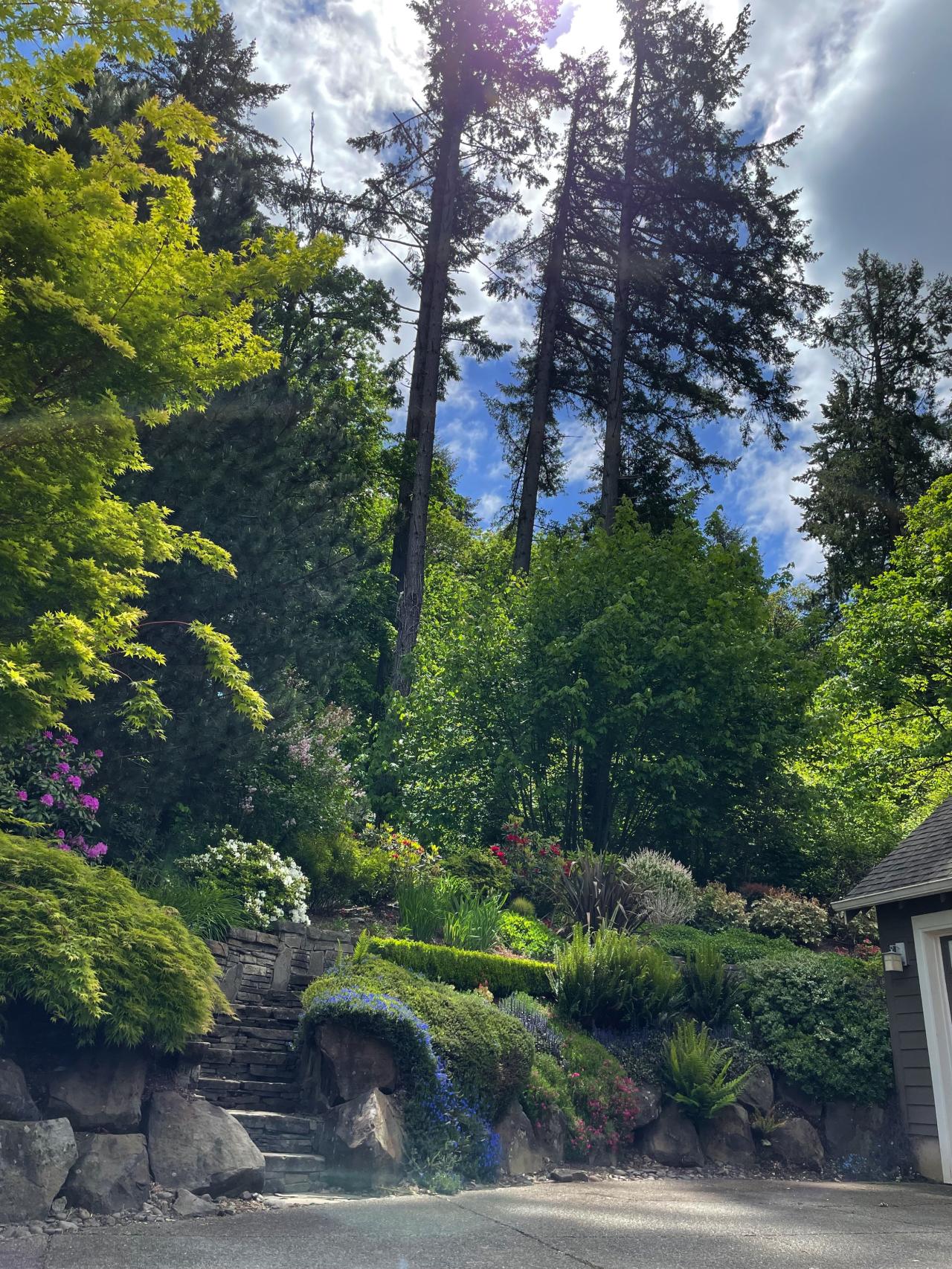 Beautiful home