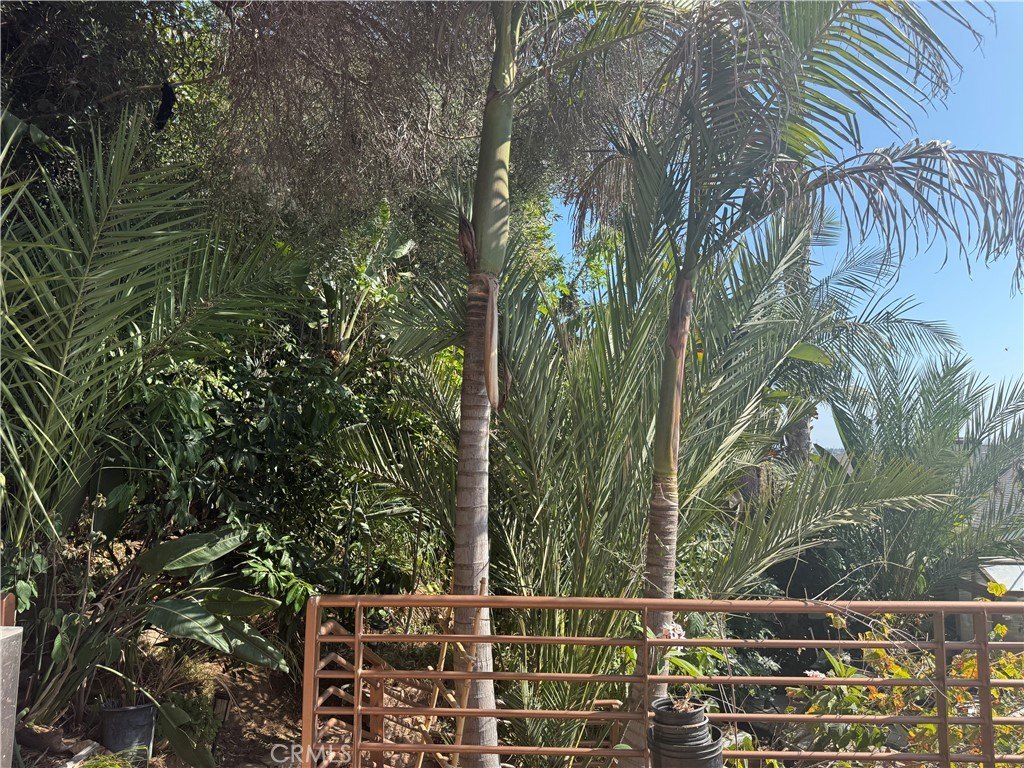 Beautiful home