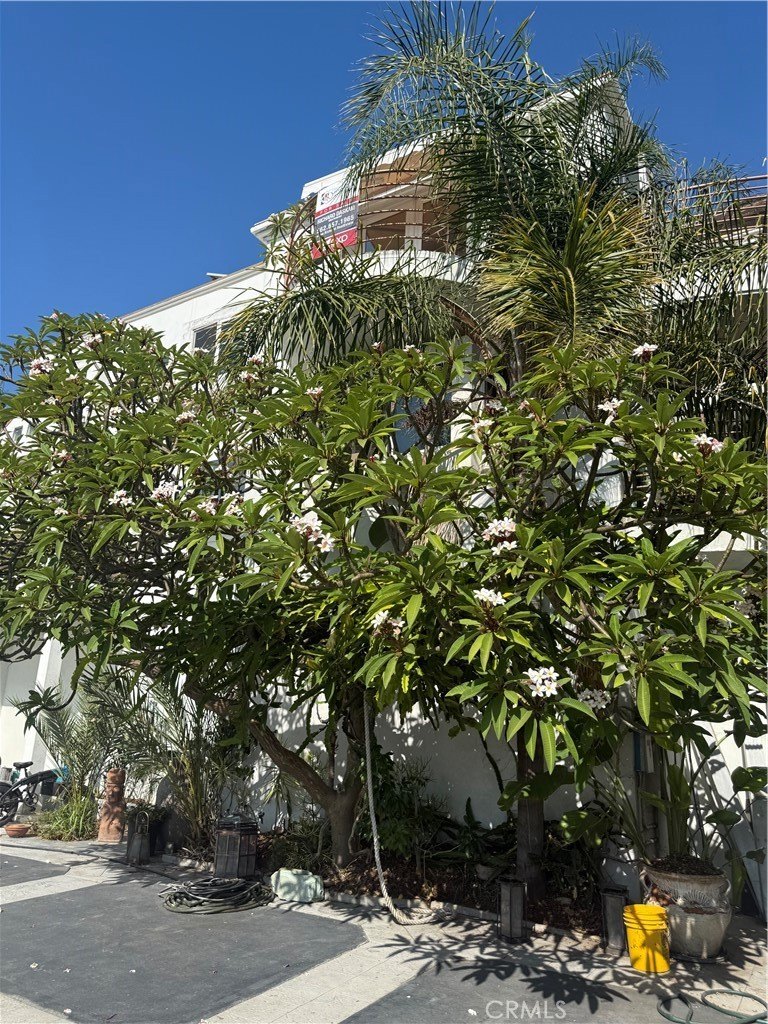 Beautiful home