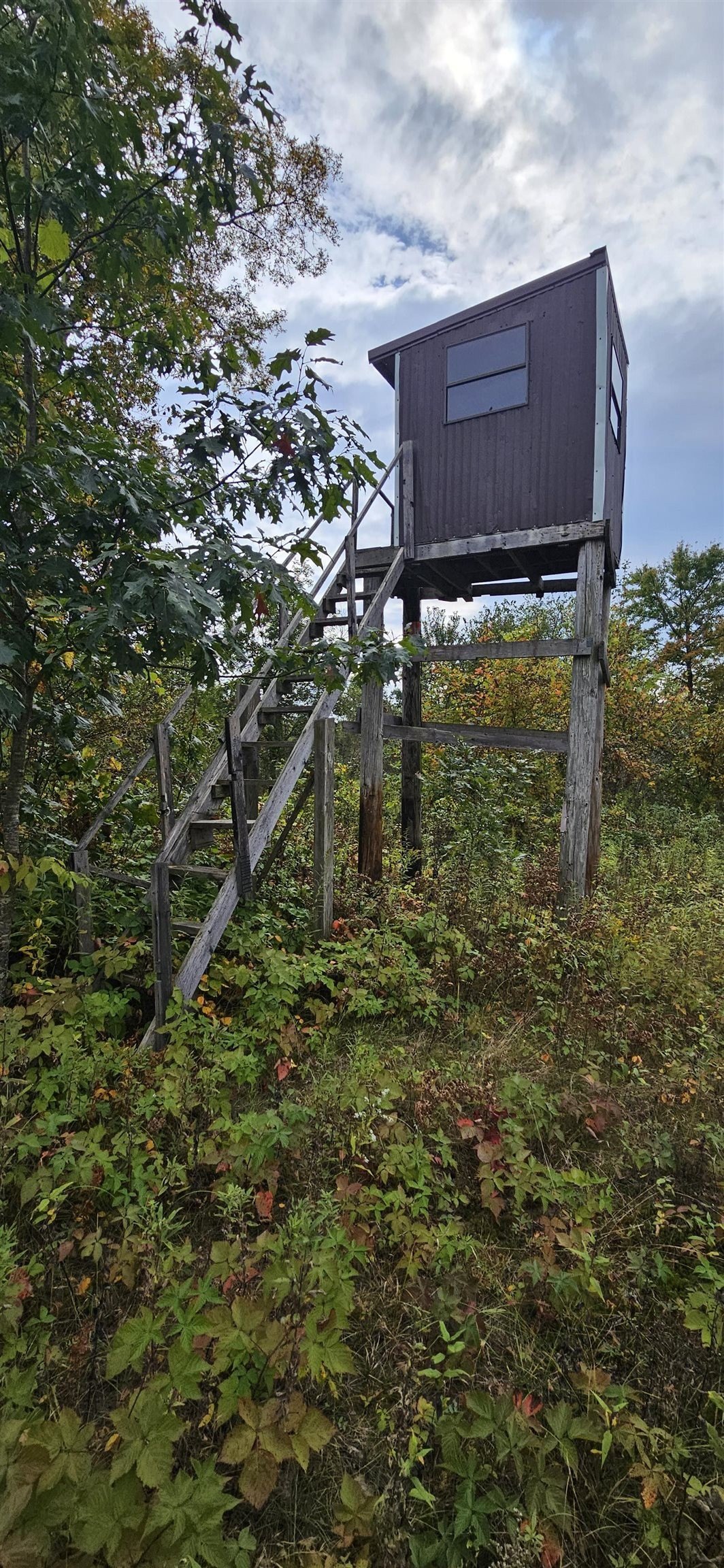Enclosed Deer Stand Included<br/>