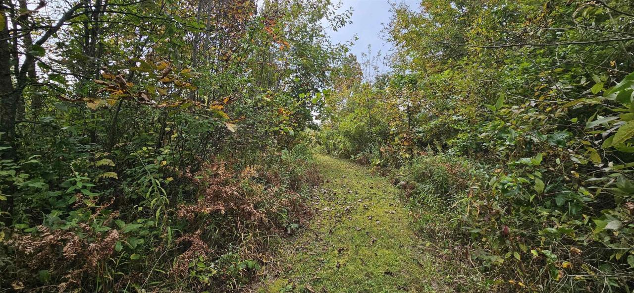 Mowed Trails to Stands<br/>