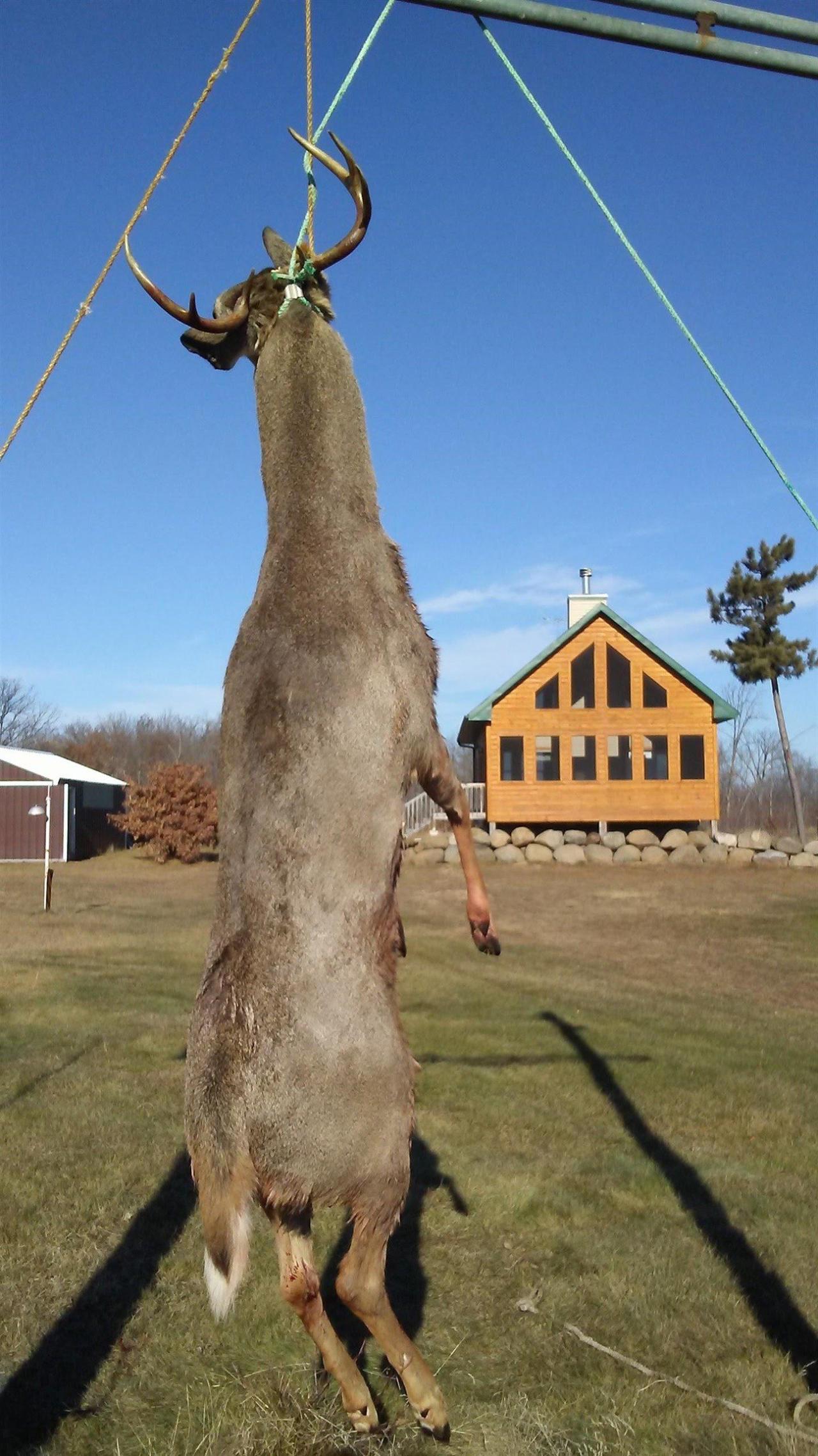 Alot of Deer Harvested<br/>