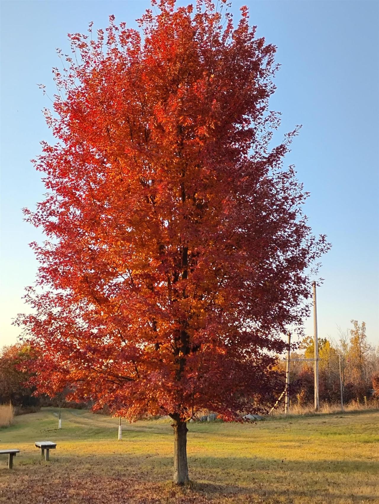 Utilize it every Season<br/>