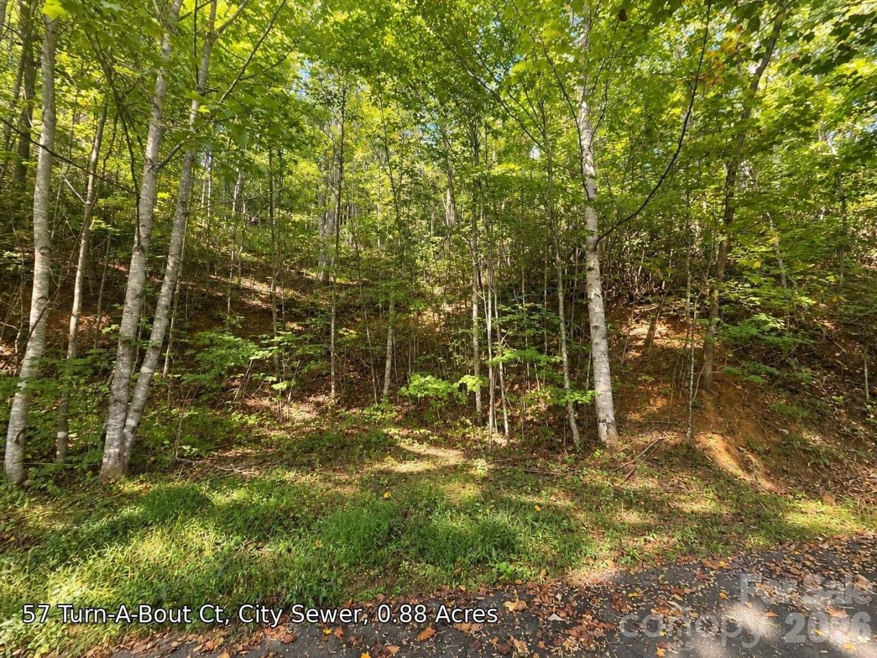 Beautiful home