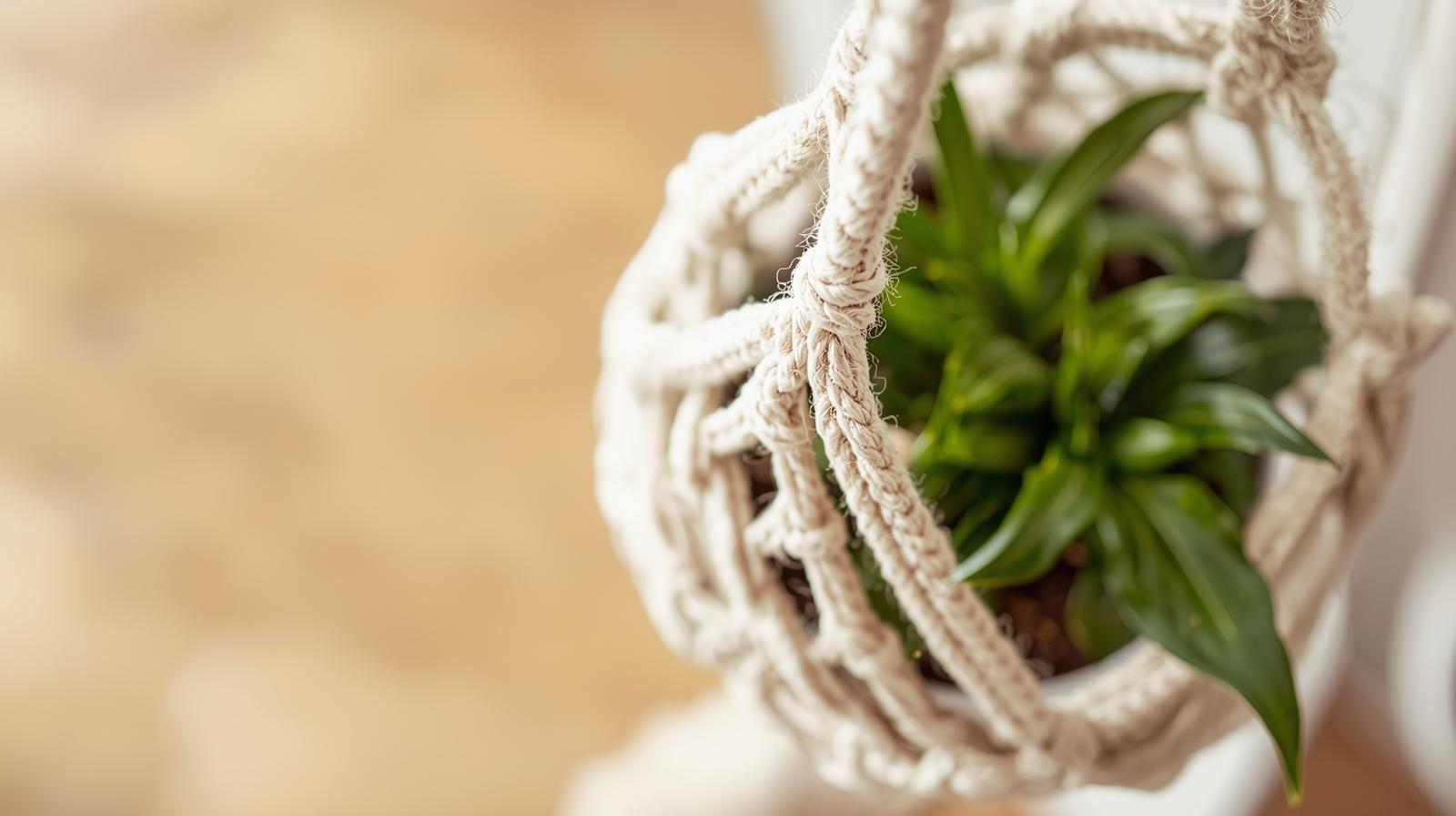 DIY Macrame Plant Hanger (Step-by-Step Tutorial)