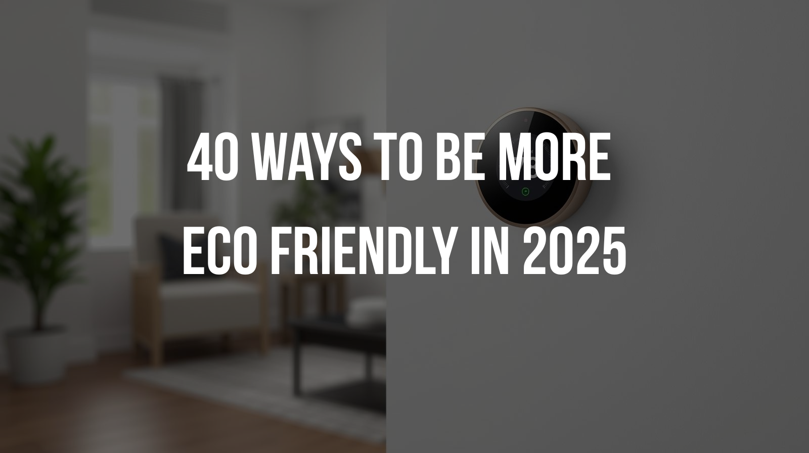 40 Ways to Be More Eco Friendly in 2025