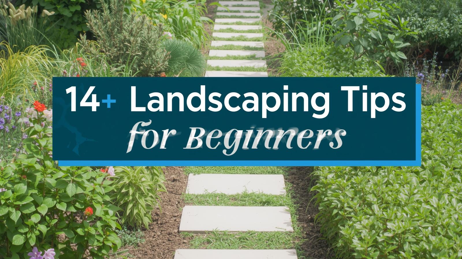 14 Landscaping Tips for Beginners