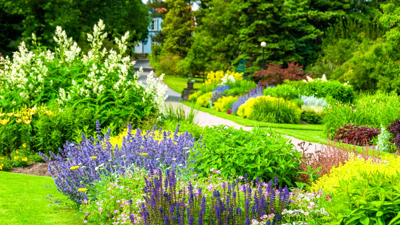 7 Flowers That Bloom All Year