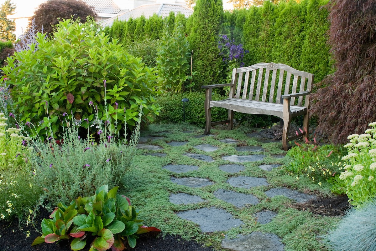 11 Plants That Look Stunning in a Home Landscape With or Without Blooms