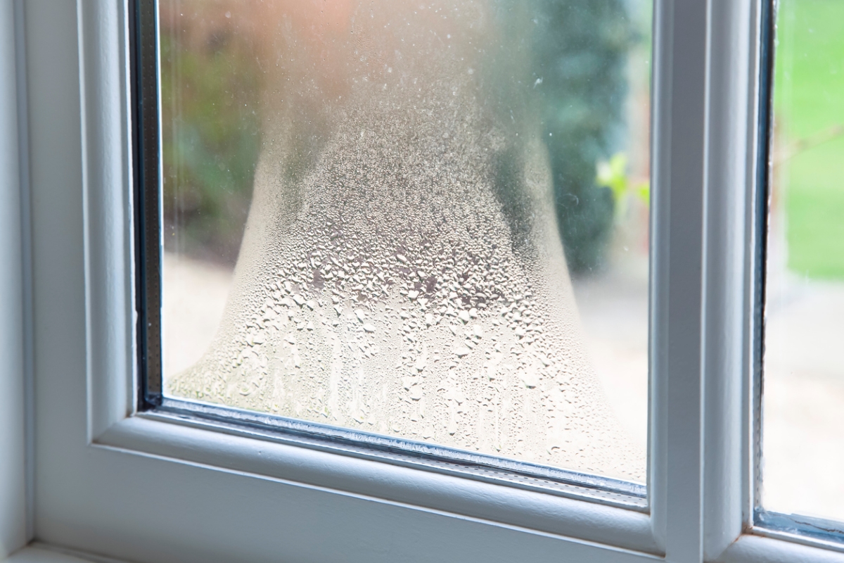 Why There’s Condensation on Windows in Your Home—and What to Do About It
