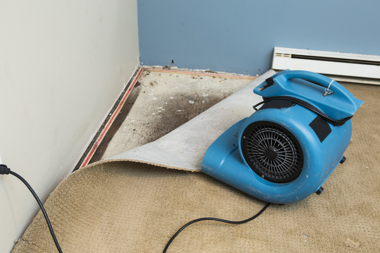 All the Signs of Water Damage Under the Floor—And Why You Need to Address Them ASAP