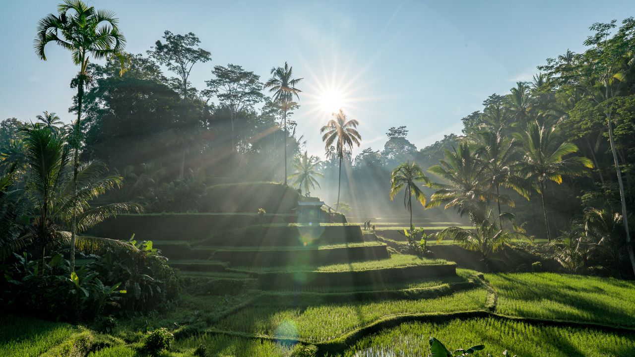 Plan Your Bali Trip!