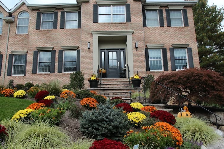 Get into the Autumn Spirit With Seasonal Fall Plants and Decorative Displays