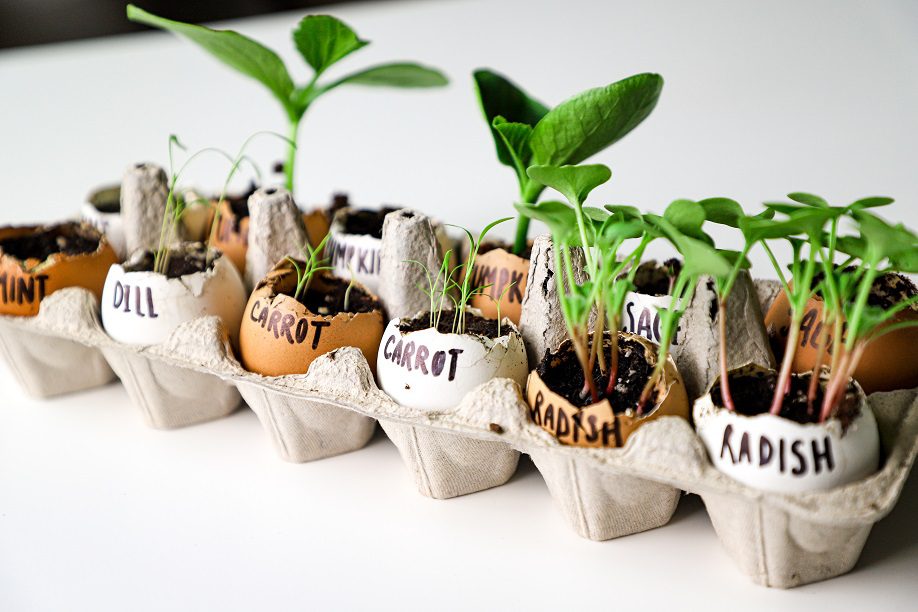 Upcycled Garden - 5 Ideas!