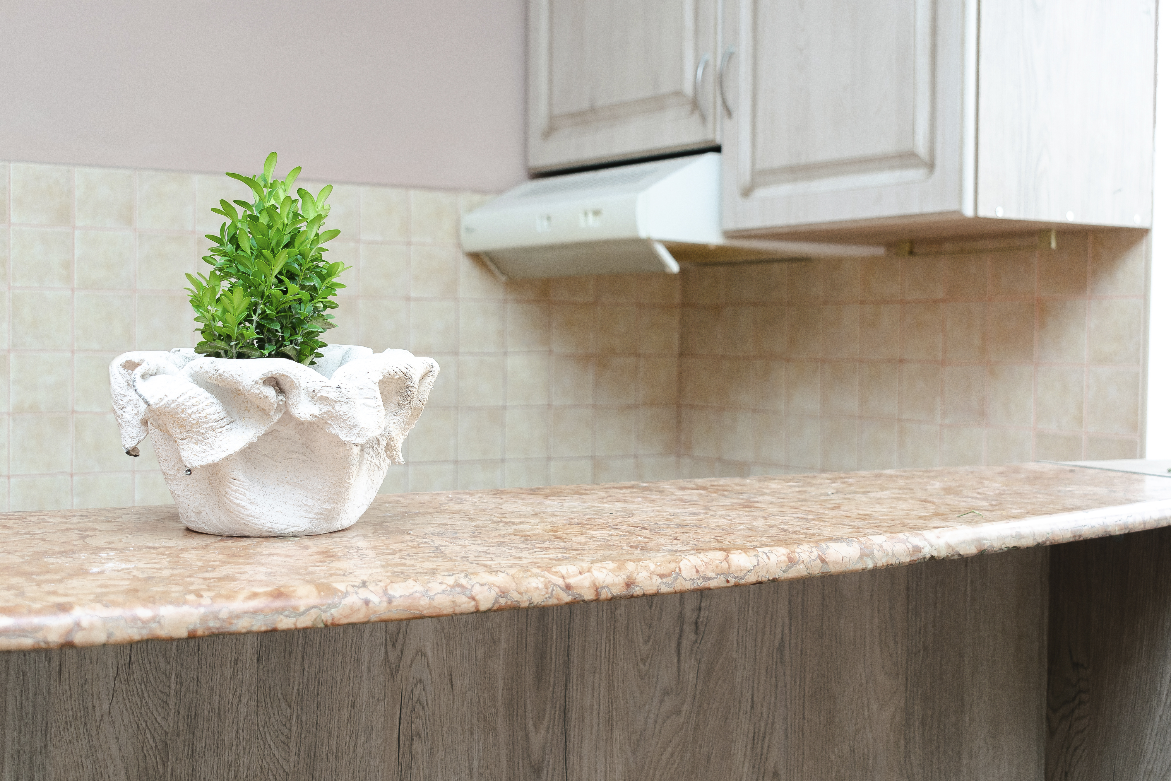 What is the Effect of Oven Cleaner on Kitchen Countertops