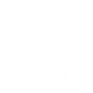 logo company2
