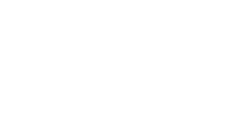 logo company2