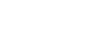 logo company2