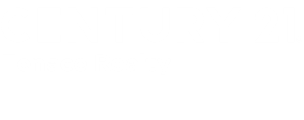 logo company2
