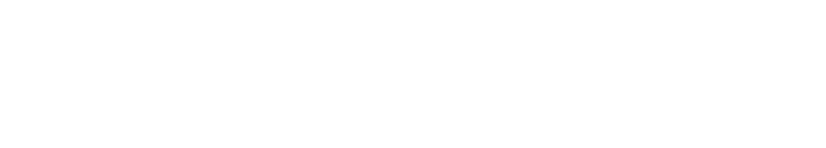 logo company2
