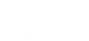logo company2