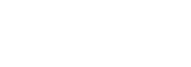 logo company2