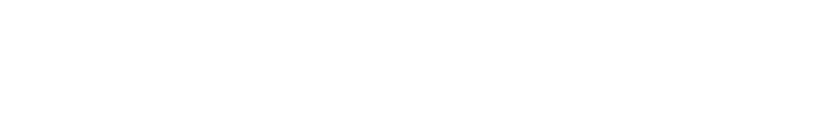 logo company2