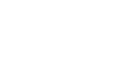 logo company2