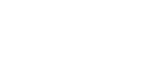 logo company2