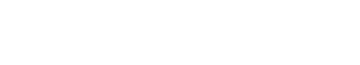 logo company2